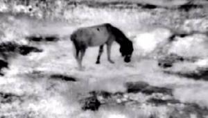 מתערוכת קווי הגנה - נטע לאופר