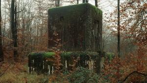 אלכסנדר גירקנז'ה, נובמבר2017 , בונקר ,5 בס ריין ,סילץ