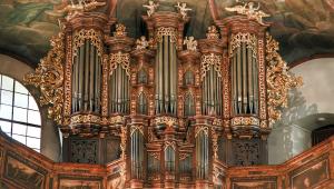 פניני העוגב