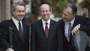 טריו שחם וולפיש ארז