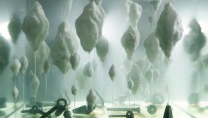 שיח גלריה בתערוכה: ללא אדמה - יונתן גולדמן