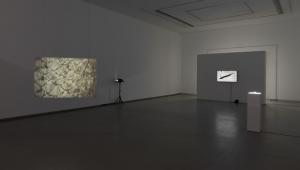 שיח גלריה  בתערוכה: נדידה - קרן בנבנישתי, שרי כראל, אלה ליטביץ