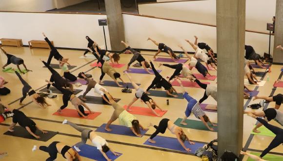 יוגה בהנחיית דליה קרייד, יום היוגה הבינלאומי, "הריבוע החי", מוזיאון תל אביב לאמנויות; "אוצרת: רותי דירקטור, צילום: עידו פדהצור יוגה בהנחיית דליה קרייד, יום היוגה הבינלאומי, "הריבוע החי", מוזיאון תל אביב לאמנויות; "אוצרת: רותי דירקטור, צילום: עידו פדהצור