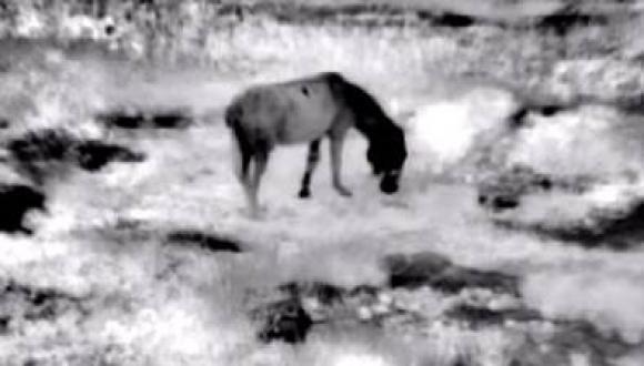 מתערוכת קווי הגנה - נטע לאופר מתערוכת קווי הגנה - נטע לאופר