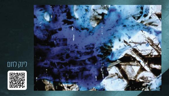 Brakhage: Film and the Obscurity of the Image