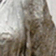 התערוכה של גלעד אפרת זכתה לשבחים.