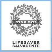 Lifesaver : the Israeli Pavilion, the 10th International Exhibition of Architecture, the Venice Biennial